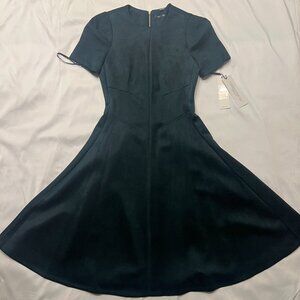 Calvin Klein Velvet Green A-line dress